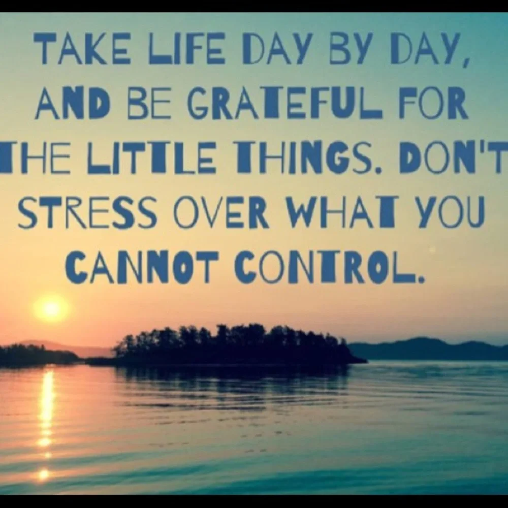 PLEASE LIKE NEW GAME! - Picture 5 of 12